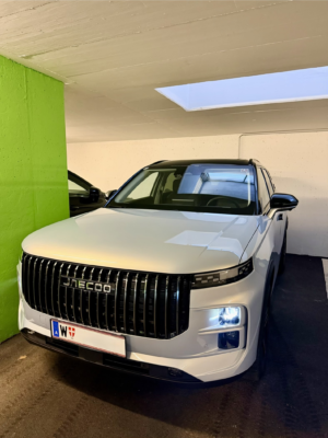 Ich bin zwar KEIN offizieller Auto-Tester, … - ein Artikel von Automotive Business Coach